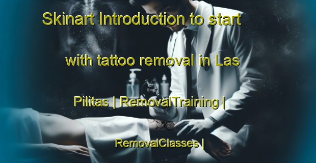 Skinart Introduction to start with tattoo removal in Las Pilitas | RemovalTraining | RemovalClasses | SkinartTraining-Mexico